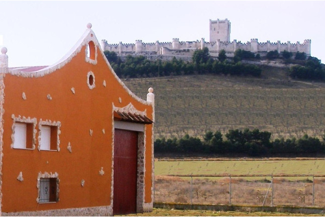 Visita a Bodegas Marcos y Cata de Vinos con Aperitivos amenizada con Magia para dos (Peñafiel, Valladolid)