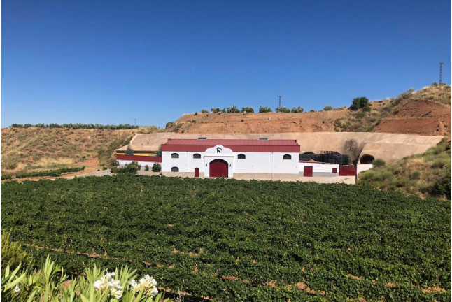 Visita a las Bodegas Muñana y Degustación de vino para dos (Granada)