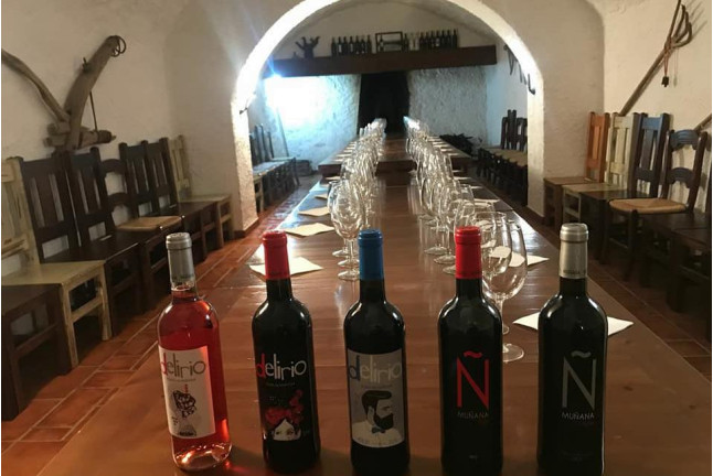 Visita a las bodegas Muñana y degustación de vino en Granada