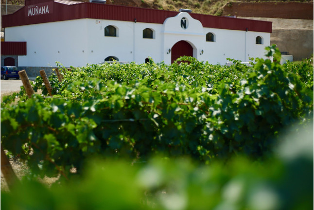 Visita a las Bodegas Muñana y Degustación de vino para dos (Granada)
