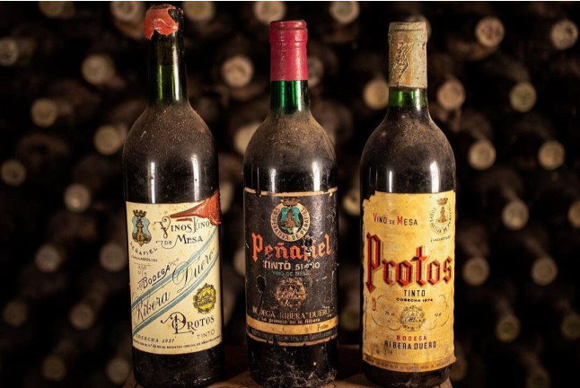 Visita a Bodegas Protos con Cata de 3 Vinos y aperitivo para dos (Peñafiel, Valladolid)
