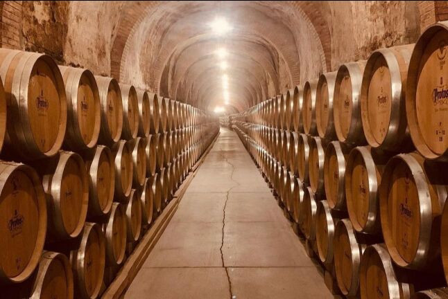 Visita a Bodegas Protos y Menú a Escoger en Restaurante Agora (Peñafiel, Valladolid)