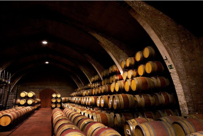 Visita Raimat: Visita Guiada y Cata de Vinos en Bodegas Raimat (Lleida)