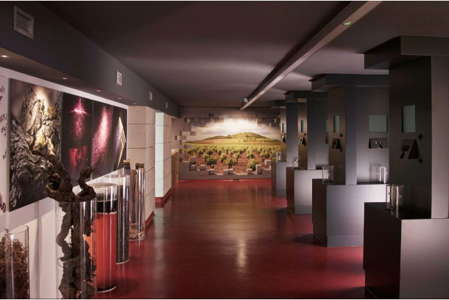 Visita a Bodegas Centenarias Riojanas con Experiencia Sensorial y Aperitivo para dos (La Rioja)