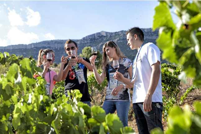 Visita a Bodegas en Cellers Baronia del Montsant y Escapada con Circuito Spa en Camping Prades (Tarragona)