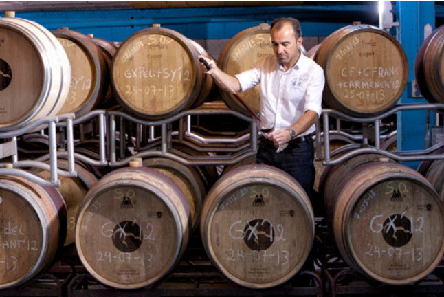 Visita a Bodegas en Cellers Baronia del Montsant y Escapada con Circuito Spa en Camping Prades (Tarragona)