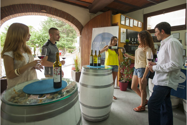 Visita a Viñedos en 4x4, Bodega, Cata de Vinos, Aperitivo y Comida para dos en Cellers Baronia del Montsant (Tarragona)