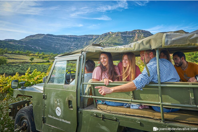 Visita a Viñedos en 4x4, Bodega, Cata de Vinos, Aperitivo y Comida para dos en Cellers Baronia del Montsant (Tarragona)