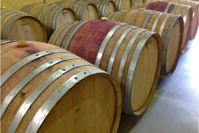 Visita a Museo y Caves Castellroig con Cata y Aperitivo para dos (Barcelona)