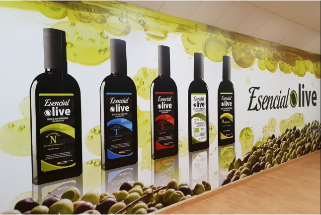 Visita a Oleícola San Francisco con Degustación de Aceites de Oliva Virgen Extra “Esencial Olive” para dos (Jaén)