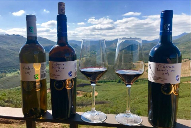 Visita a Bodega, Cata de 3 Vinos y 2 Botellas de Vino de Bodegas Ruiz Torres para dos (Cáceres)