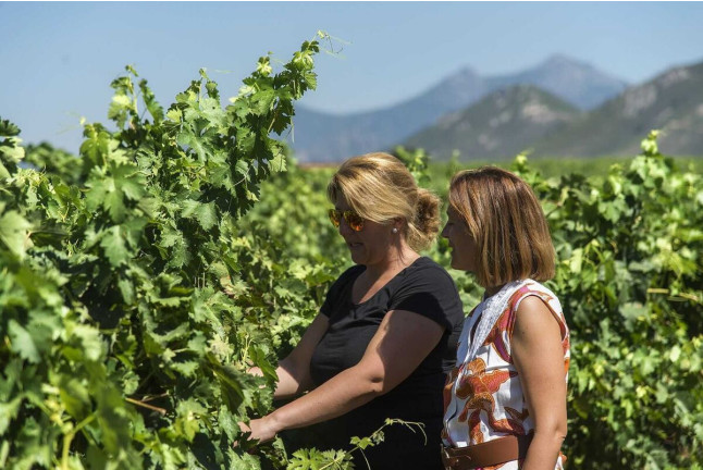 Visita a Bodega Ruiz Torres, Cata de 3 vinos y Obsequio para dos (Cáceres)