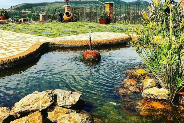 Visita a Bodega Ruiz Torres, Cata de 3 vinos y Obsequio para dos (Cáceres)