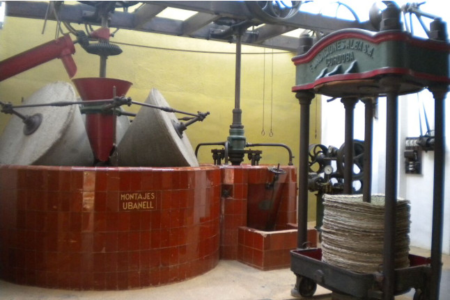 Visita al Celler Empordàlia con Degustación de Vinos y Aceites para dos (Girona)