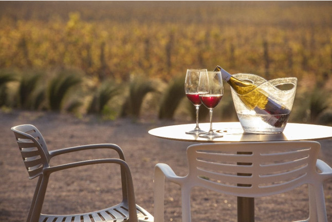 Visita a Celler Mas Geli con Degustación de Vinos y Productos Km0 para dos (Pals, Girona)