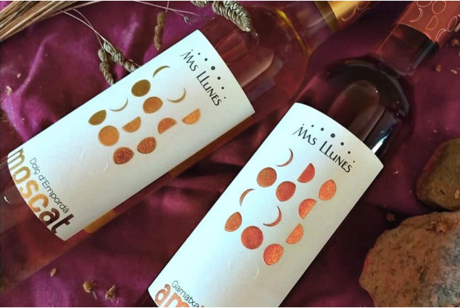 Visita Guiada a Celler Mas Llunes con Degustación de Vinos y Spa para dos (Girona)