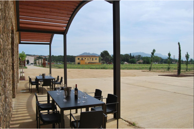 Visita Guiada a Celler Mas Llunes y Degustación de 5 Vinos para dos (Garriguella, Girona)
