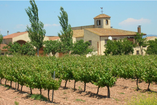 Visita al Celler Mas Foraster con Cata de Vinos y Circuito Spa con Comida para dos en Aquum Spa Estival Park (Tarragona)