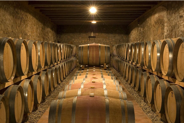 Visita al Celler Mas Foraster con Cata de Vinos y Circuito Spa con Comida para dos en Aquum Spa Estival Park (Tarragona)