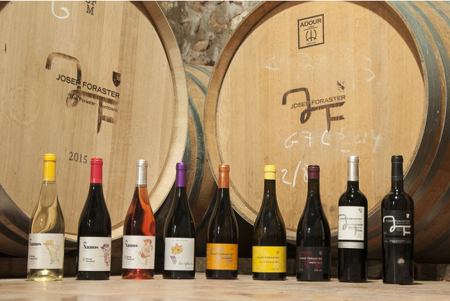 Visita al Celler Mas Foraster con Cata de Vinos y Circuito Spa para dos en SPALAS Hotel Gran Palas 5* (Tarragona)