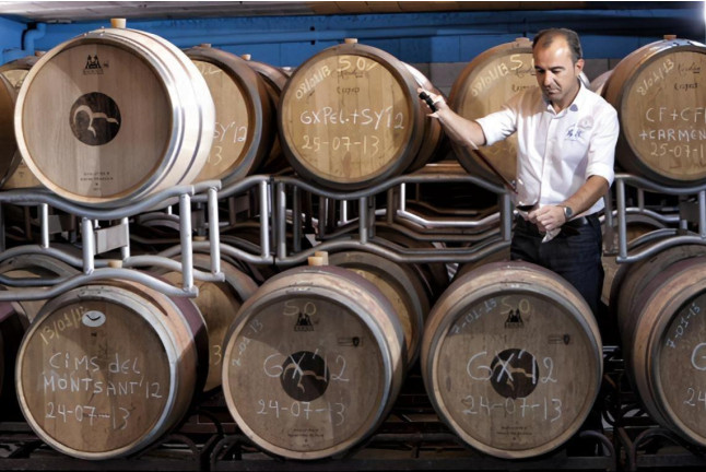 Visita a Bodega y Cata de Vinos con Aperitivo para dos en Cellers Baronia del Montsant (Tarragona)