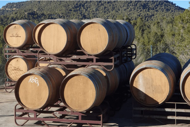 Visita a Bodega con Cata y Comida para dos en Celler Grau i Grau (Maians, Barcelona)