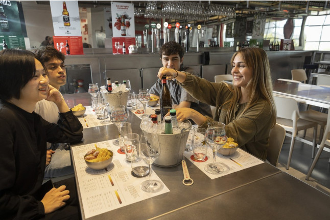 Visita Guiada a la Fábrica Estrella Damm y Degustación Especial de Cervezas (El Prat de Llobregat, Barcelona)