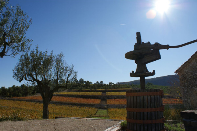 Visita a Bodega Mas Rodó y Cata de Vinos para dos en Sant Joan de Mediona (Barcelona)