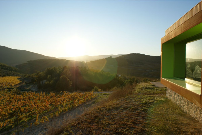 Visita a Bodega Mas Rodó y Cata de Vinos para dos en Sant Joan de Mediona (Barcelona)