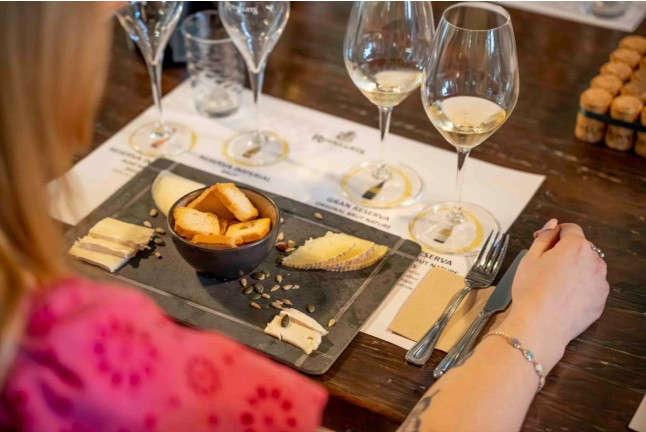 Visita Premium: Visita, Degüelle con Cata de Vino y Quesos para dos en Cava Rovellats (Barcelona)