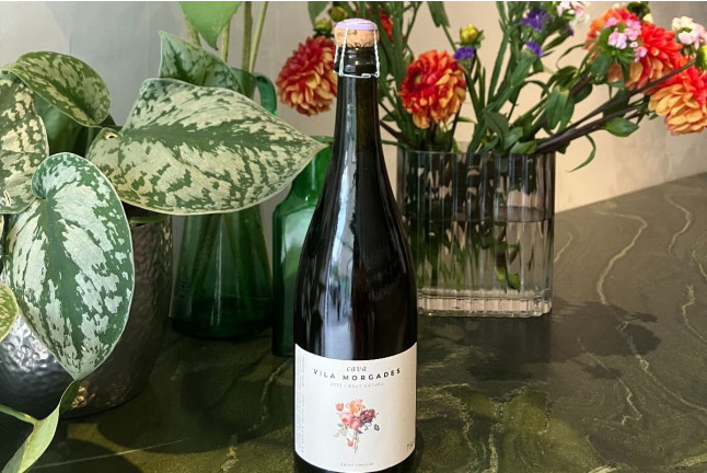 Visita de Mar: Visita a Bodega con Cata de Cavas y Aperitivo de Mar en Vila Morgades (Castellví de la Marca, Barcelona)