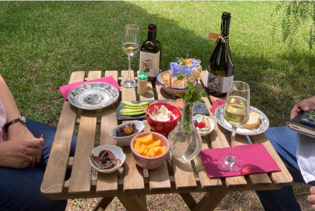 Visita de Mar: Visita a Bodega con Cata de Cavas y Aperitivo de Mar en Vila Morgades (Castellví de la Marca, Barcelona)