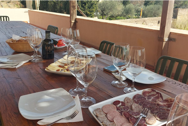 Visita a Celler Vinyes dels Aspres con Cata de Vinos y Degustación a Elegir para dos (Cantallops, Girona)