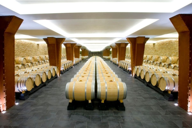 Entrada al Museo Vivanco de la Cultura del Vino en BODEGAS VIVANCO (Briones, La Rioja)