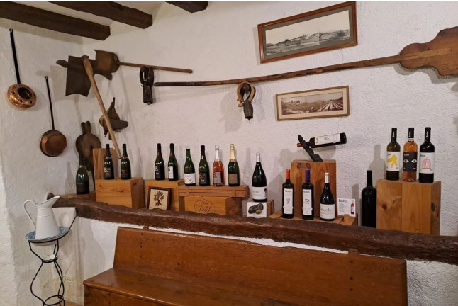 Visita, Brunch, Tapas Tradicionales y Cata de Vino y Cava en Caves Bolet (Castellví de la Marca, Barcelona)