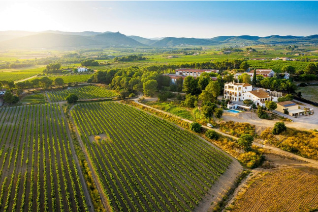 Visita, Brunch, Tapas Tradicionales y Cata de Vino y Cava en Caves Bolet (Castellví de la Marca, Barcelona)