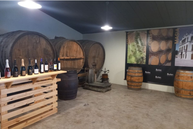 Visita, Brunch, Tapas Tradicionales y Cata de Vino y Cava en Caves Bolet (Castellví de la Marca, Barcelona)