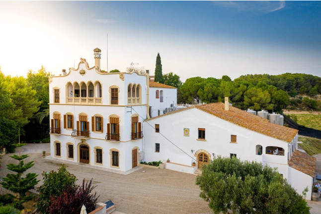 Visita, Brunch, Tapas Tradicionales y Cata de Vino y Cava en Caves Bolet (Castellví de la Marca, Barcelona)