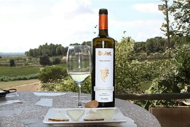 Visita, Brunch, Tapas Tradicionales y Cata de Vino y Cava en Caves Bolet (Castellví de la Marca, Barcelona)