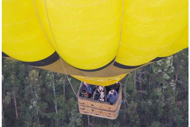 Vuelo en Globo Romántico para dos con Almuerzo y Cava (Vizcaya / Burgos / Álava)