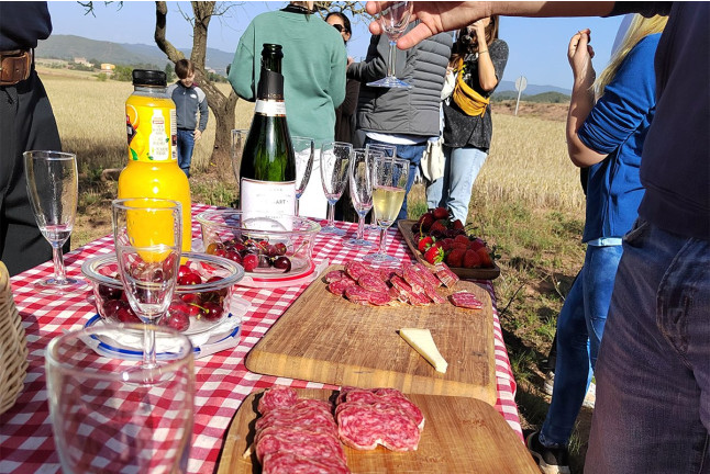 Vuelo en Globo con Cava, Aperitivo y Fotos en la Zona del Bages y Montserrat (Barcelona)