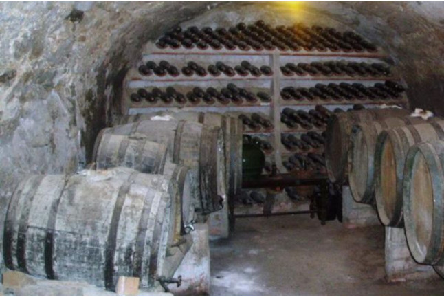 Vuelo en Globo con Fotos y Visita Guiada a la Bodega Baronia de Vilademuls con Cata de Vinos para dos (Girona)