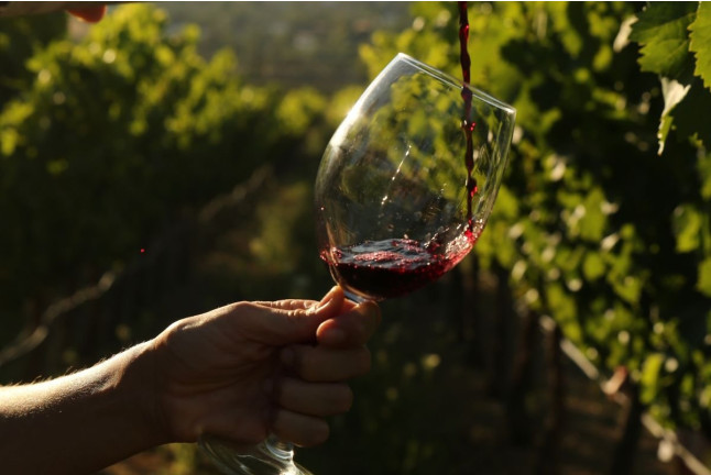 Vuelo en Globo con Desayuno, Cava y Vídeo y Visita a Bodega Huerto de la Condesa con Cata de Vinos para dos (Ronda, Málaga)
