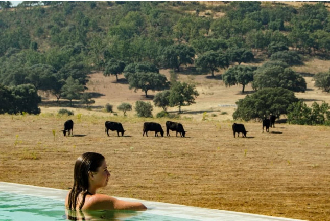 Escapada de 2 Noches con Spa, Cena, Botella de Cava y Bombones en Habitat Cigüeña Negra (Valverde del Fresno, Cáceres)