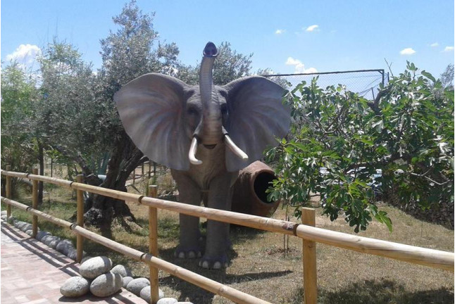 Entrada a Zoo Safari Fauna Aventura (Hinojosa de San Vicente, Toledo)