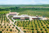 Oleoturismo y Gastronomía del Mediterráneo: Visita al Olivar y la Almazara, Cata Premium y Menú entre Olivos (Jabalquinto, Jaén)