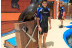 Entrada a Aqualandia y Baño con Leones Marinos (Benidorm, Alicante)