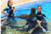 Entrada a Aqualandia y Baño con Leones Marinos (Benidorm, Alicante)