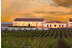 Visita a Bodega y Cata de Vinos para dos en Bodegas Marqués de Villalúa (Huelva)