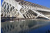 Entrada al Oceanogràfic y al Museo de las Ciencias Príncipe Felipe (Valencia)